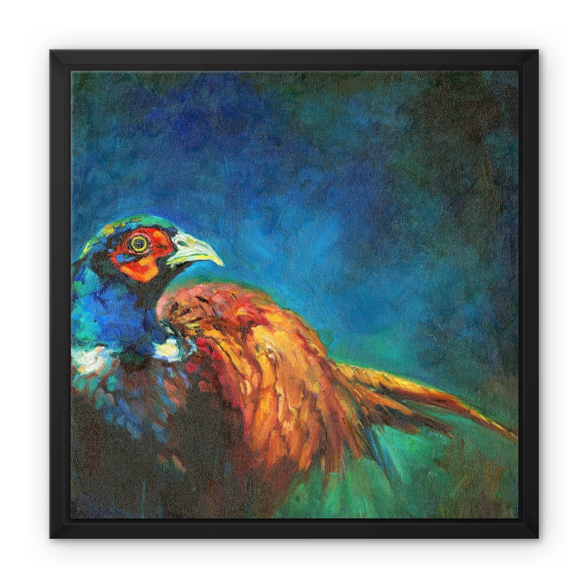 Pheasant Framed Canvas - - susan gardner - uk artist - colourful animal art