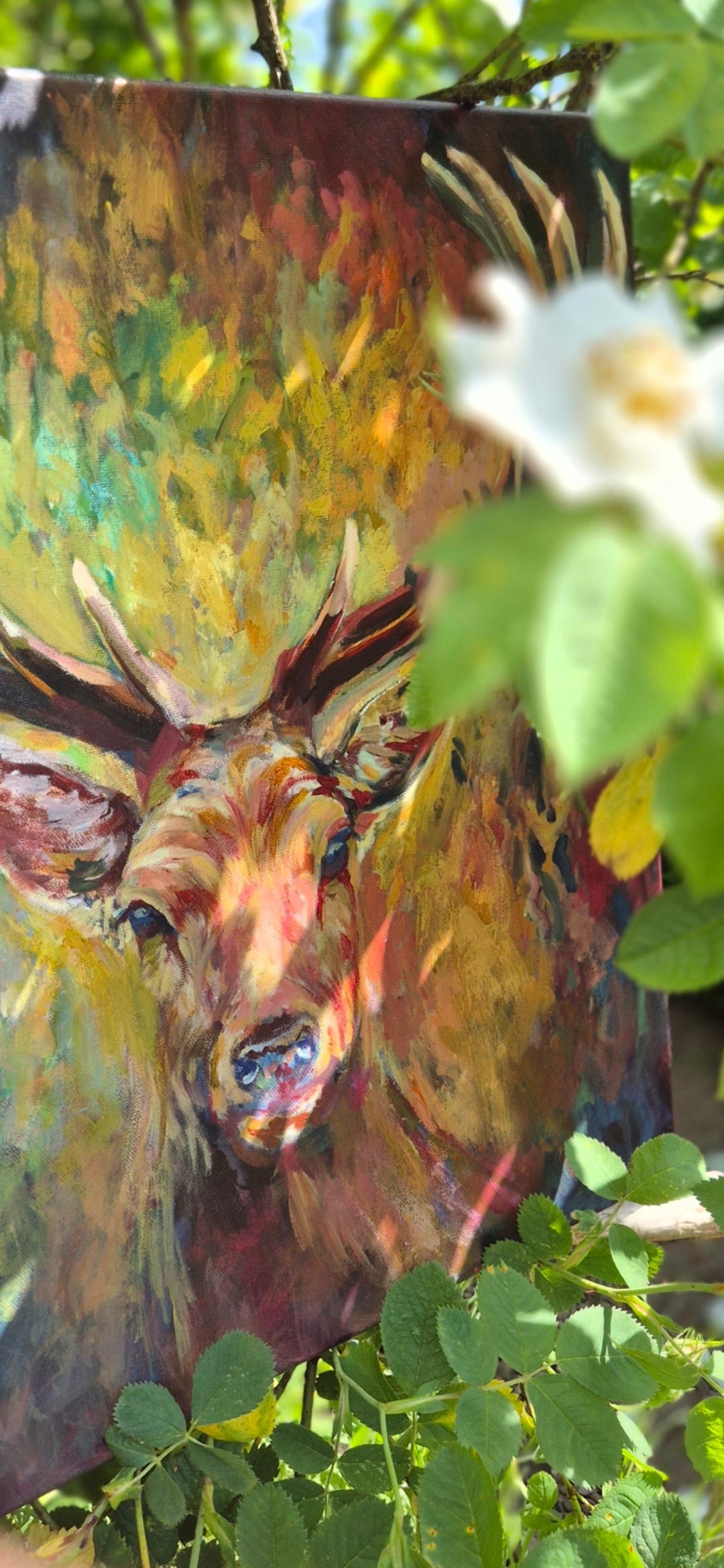 ASHLEY | Original Red Deer Oil Painting | 20 x 20 " \ 50 x 50 cm