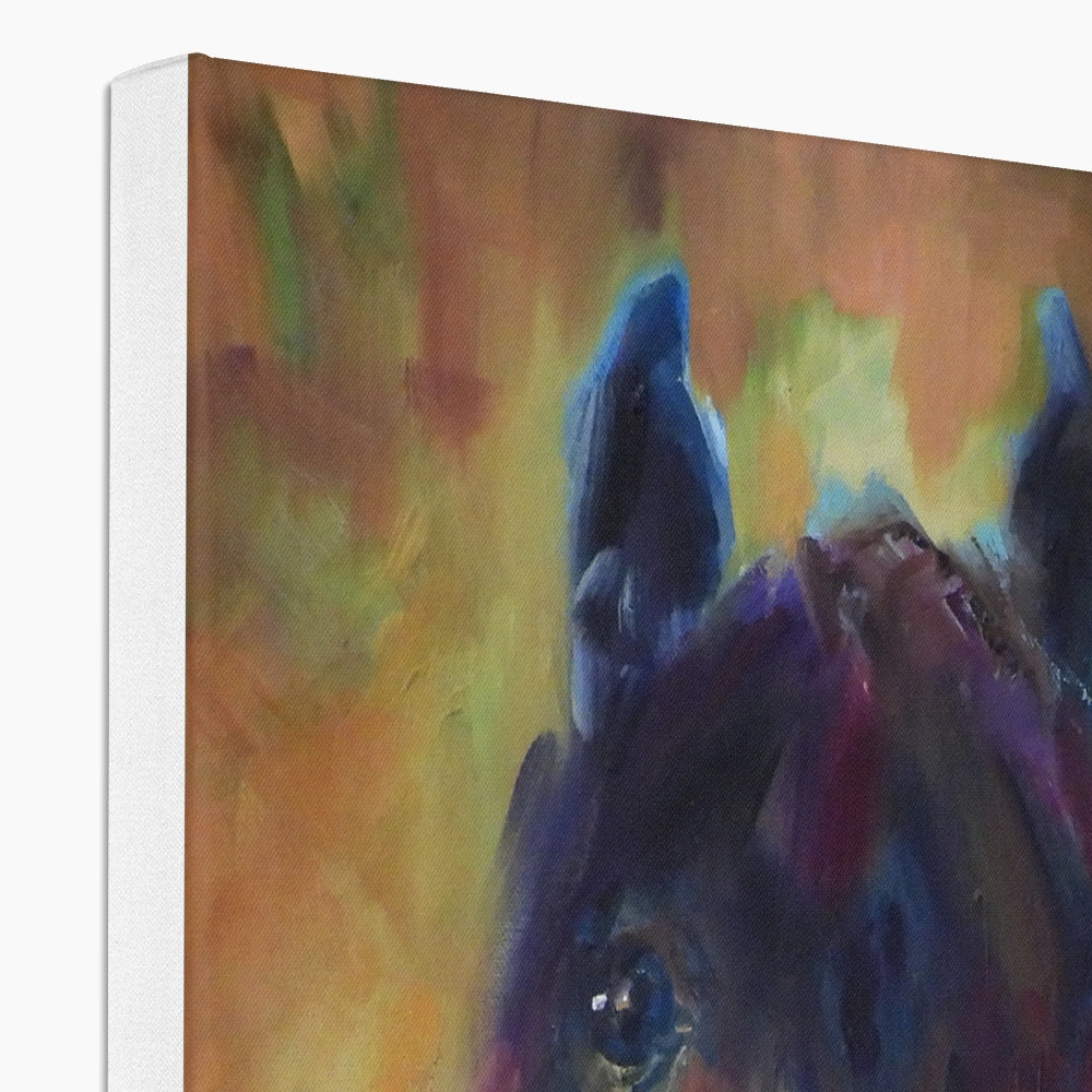 Wild Horse Canvas - - susan gardner - uk artist - colourful animal art