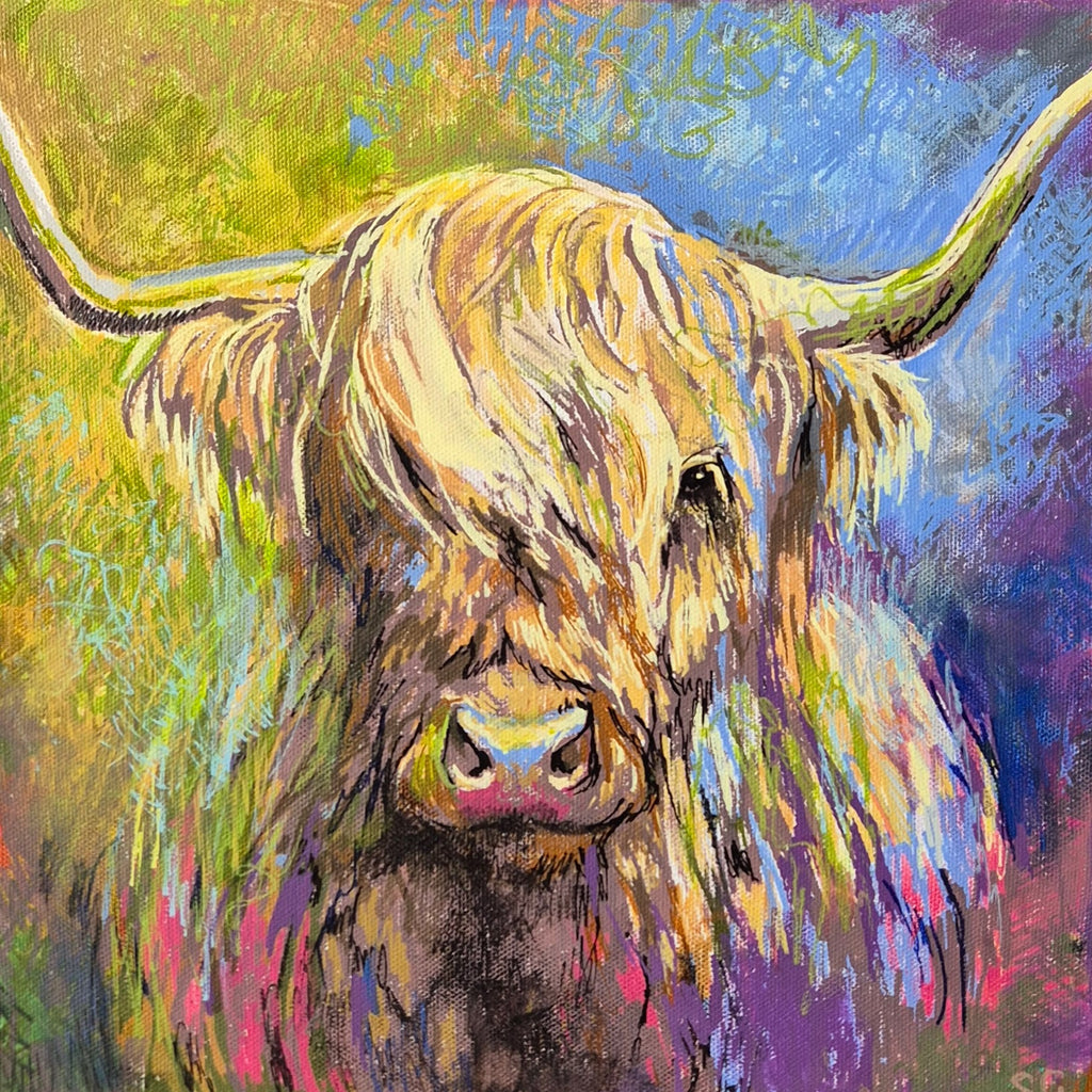 *Sold 'Highland Cow' Acrylic Drawing on Stretched Canvas 28 x 28 cm/ 11" x 11" - Animal Art by Susan Gardner - Contemporary Expressionist - Colourful Fine Art