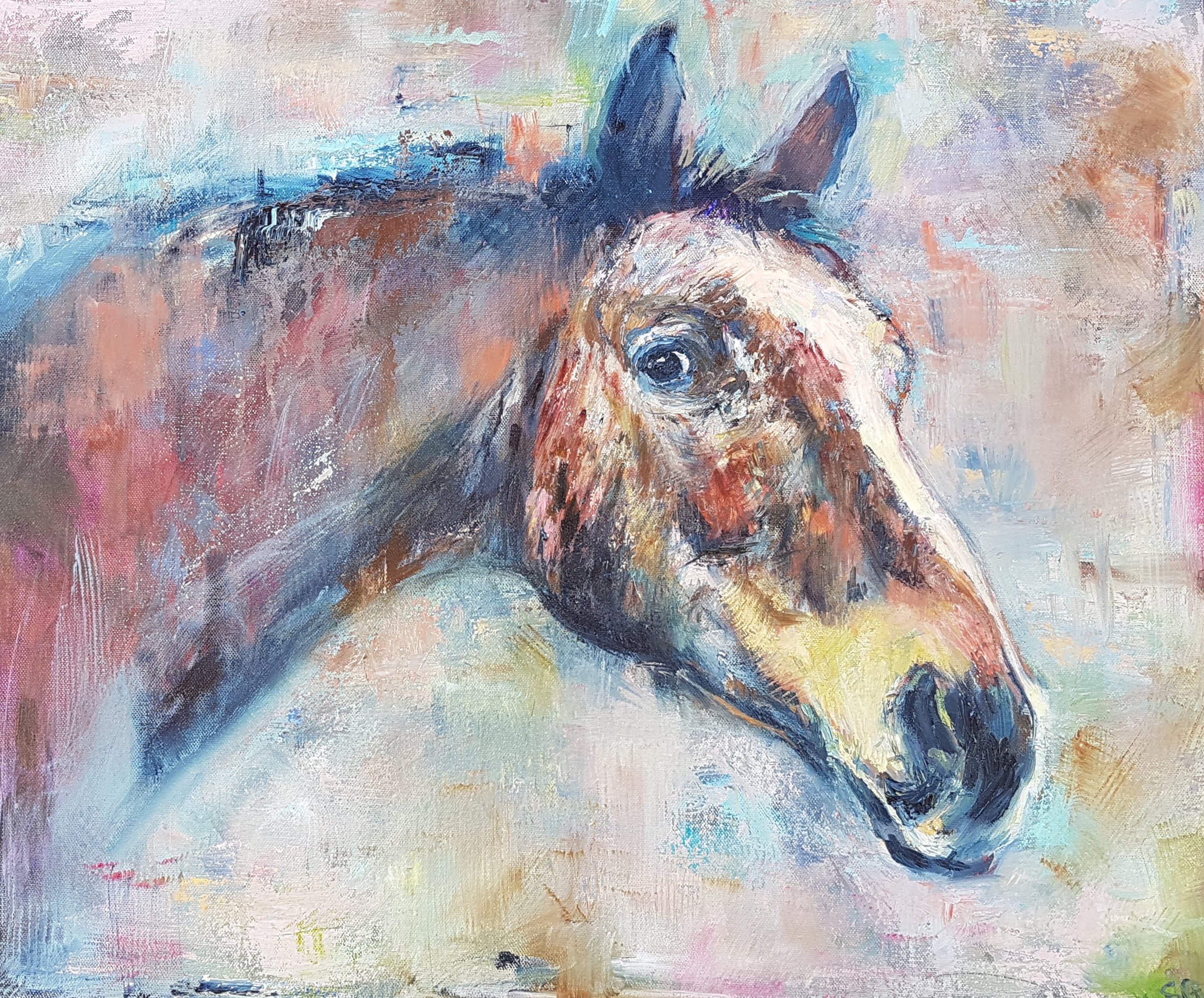 *Sold - Commissioned Horse Painting - Animal Art by Susan Gardner - Contemporary Expressionist - Colourful Fine Art