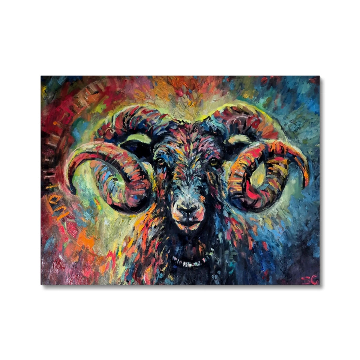 Ironside - sheep art by susan gardner - ram fine art prints