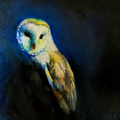 Canvas Print ' Midnight Haunt' 50 x 50 cm - Animal Art by Susan Gardner - Contemporary Expressionist - Colourful Fine Art