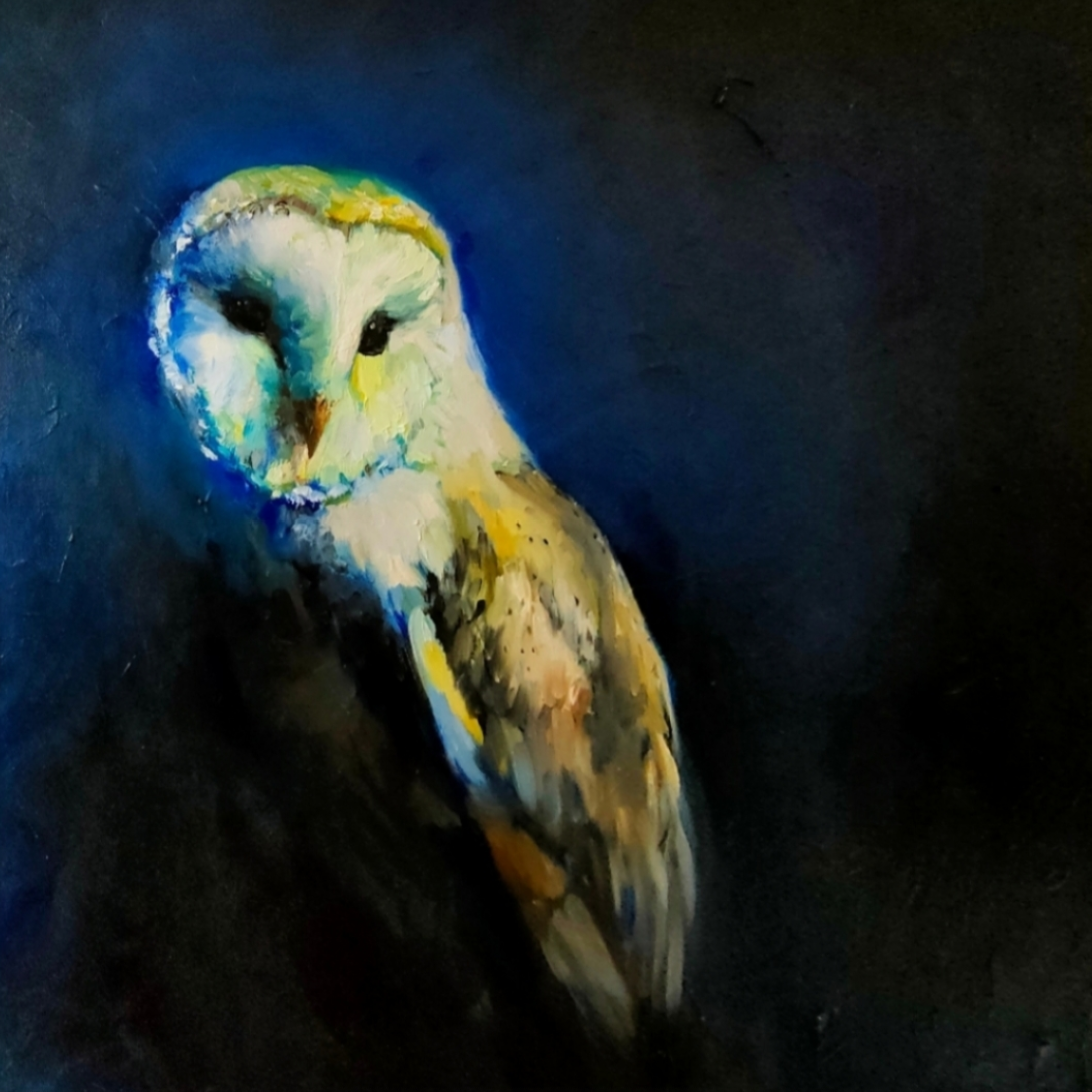 Canvas Print ' Midnight Haunt' 50 x 50 cm - Animal Art by Susan Gardner - Contemporary Expressionist - Colourful Fine Art