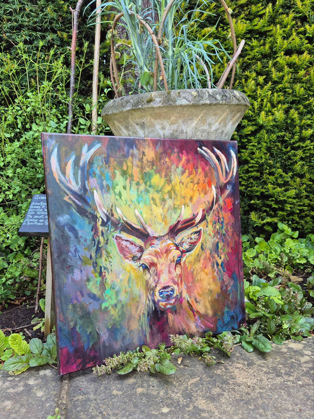 Ashley - Original Deer Painting-50 x 50cm \ 20 x 20