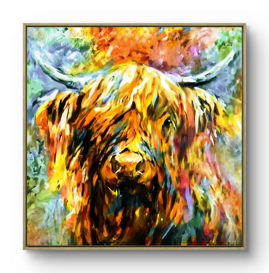 Fraserburgh - Highland Cow Canvas Print