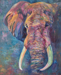 Ölgemälde „Wise Eyes“ (Elefant) 40 x 30"/80 x 100 cm