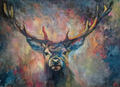 WILD GRACE  Oil Painting  60 x 80 cm