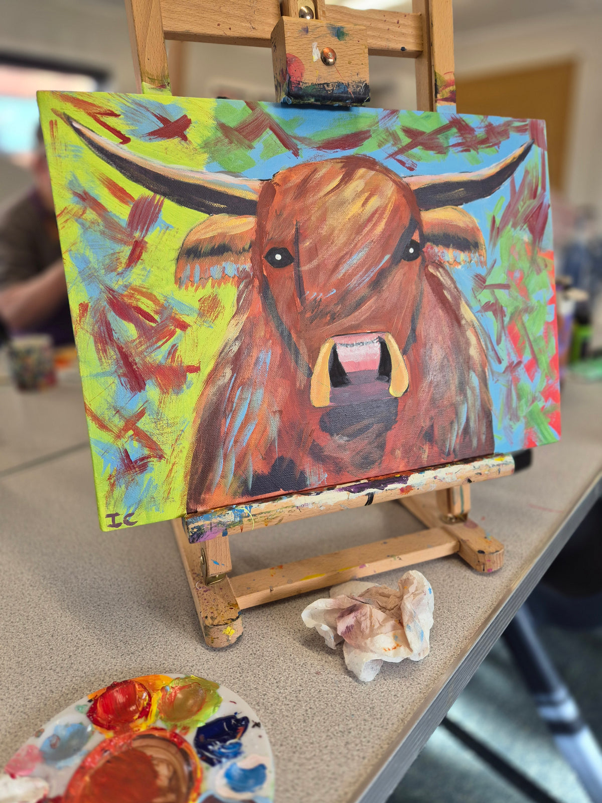 Buntes Highland-Rind! in der Ibstock School | Sonntag, 22. Februar 2026, 10 - 16 Uhr