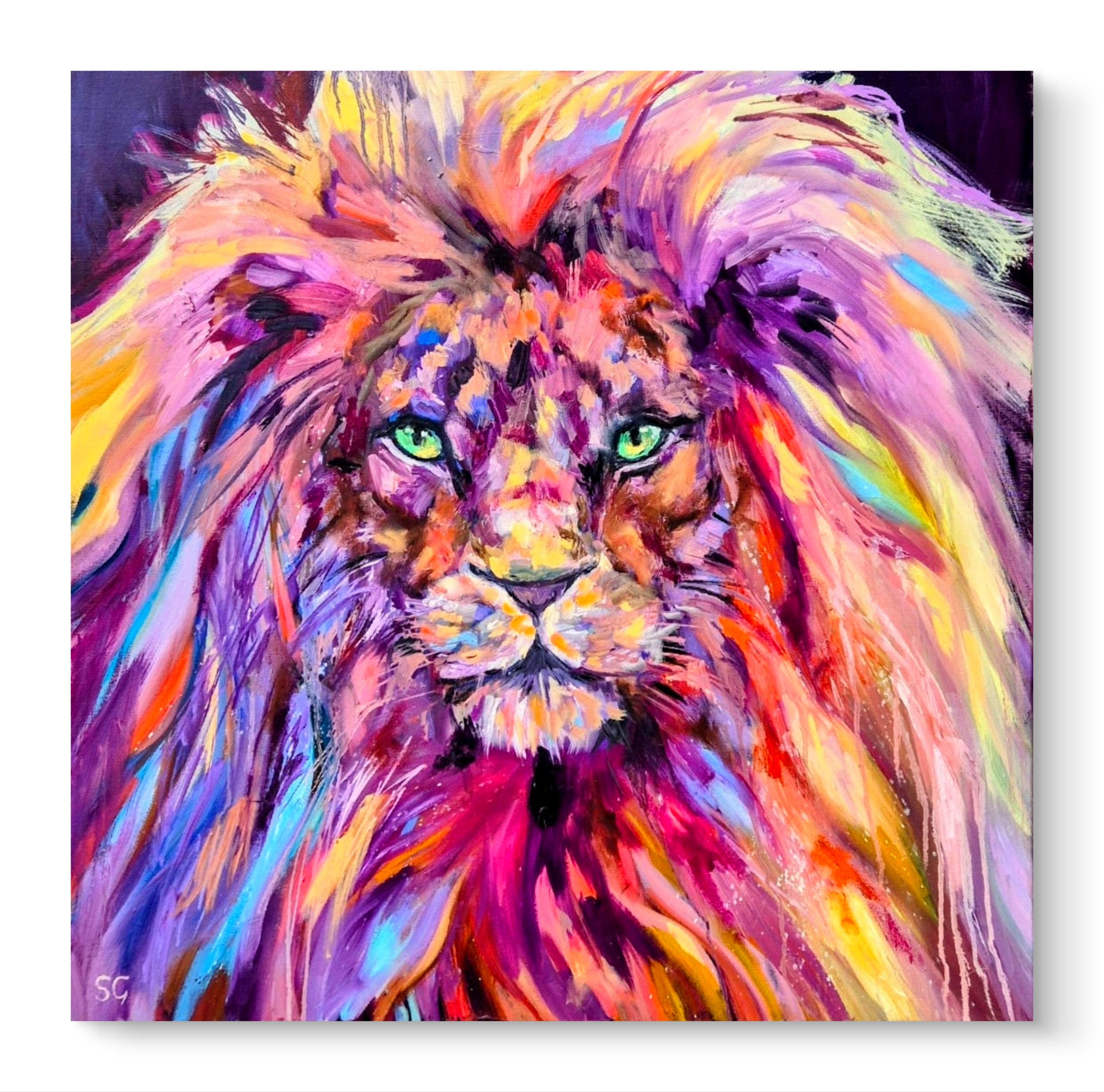 'Majestic Heart' - Original Lion Oil Painting 70 x 70 cm - Animal Art by Susan Gardner - Contemporary Expressionist - Colourful Fine Art