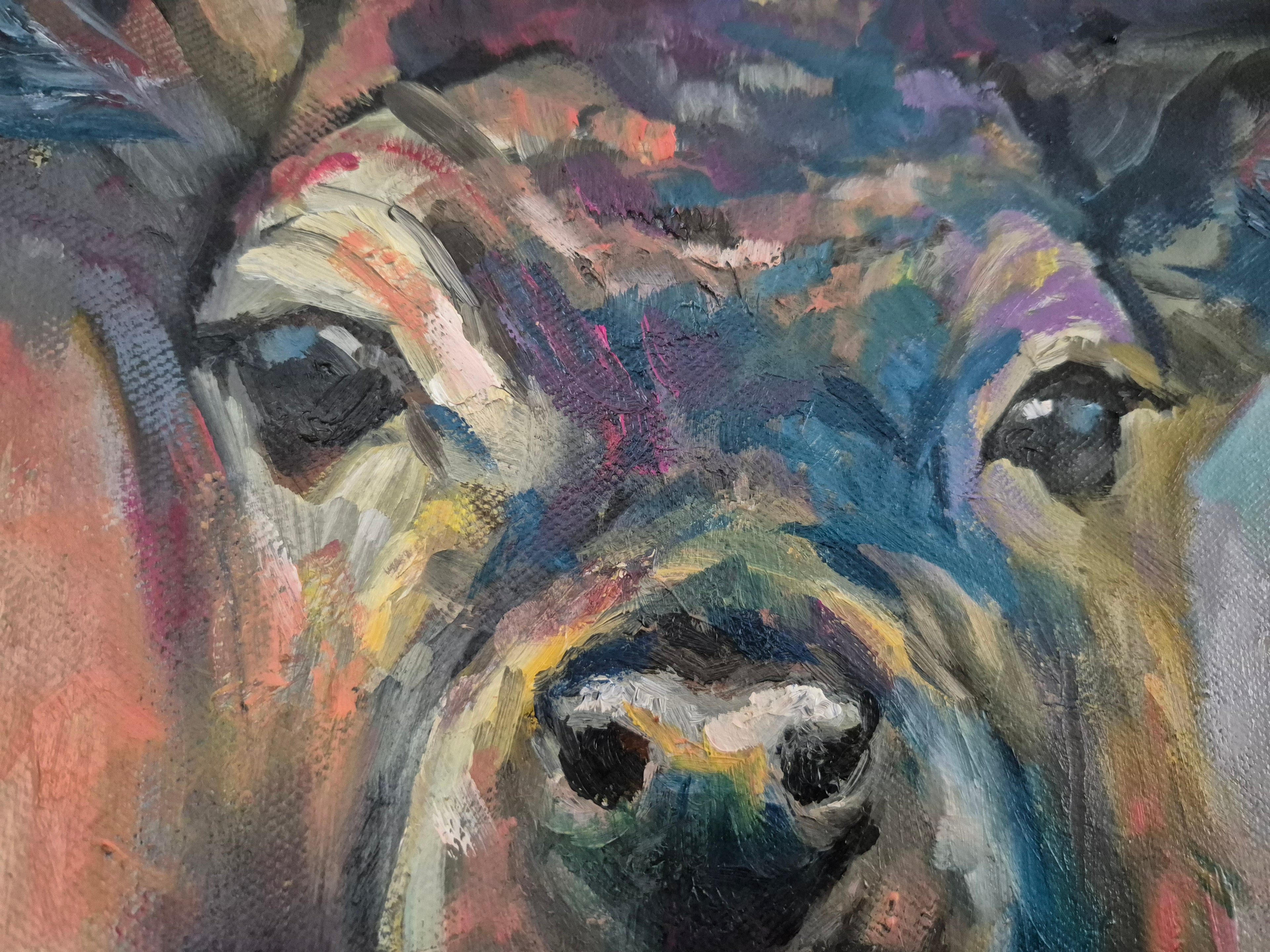 WILD GRACE  Oil Painting  60 x 80 cm