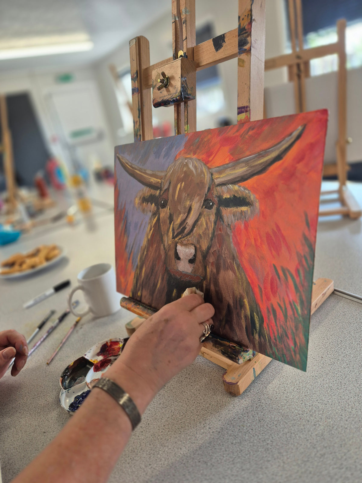 Buntes Highland-Rind! in der Ibstock School | Sonntag, 22. Februar 2026, 10 - 16 Uhr