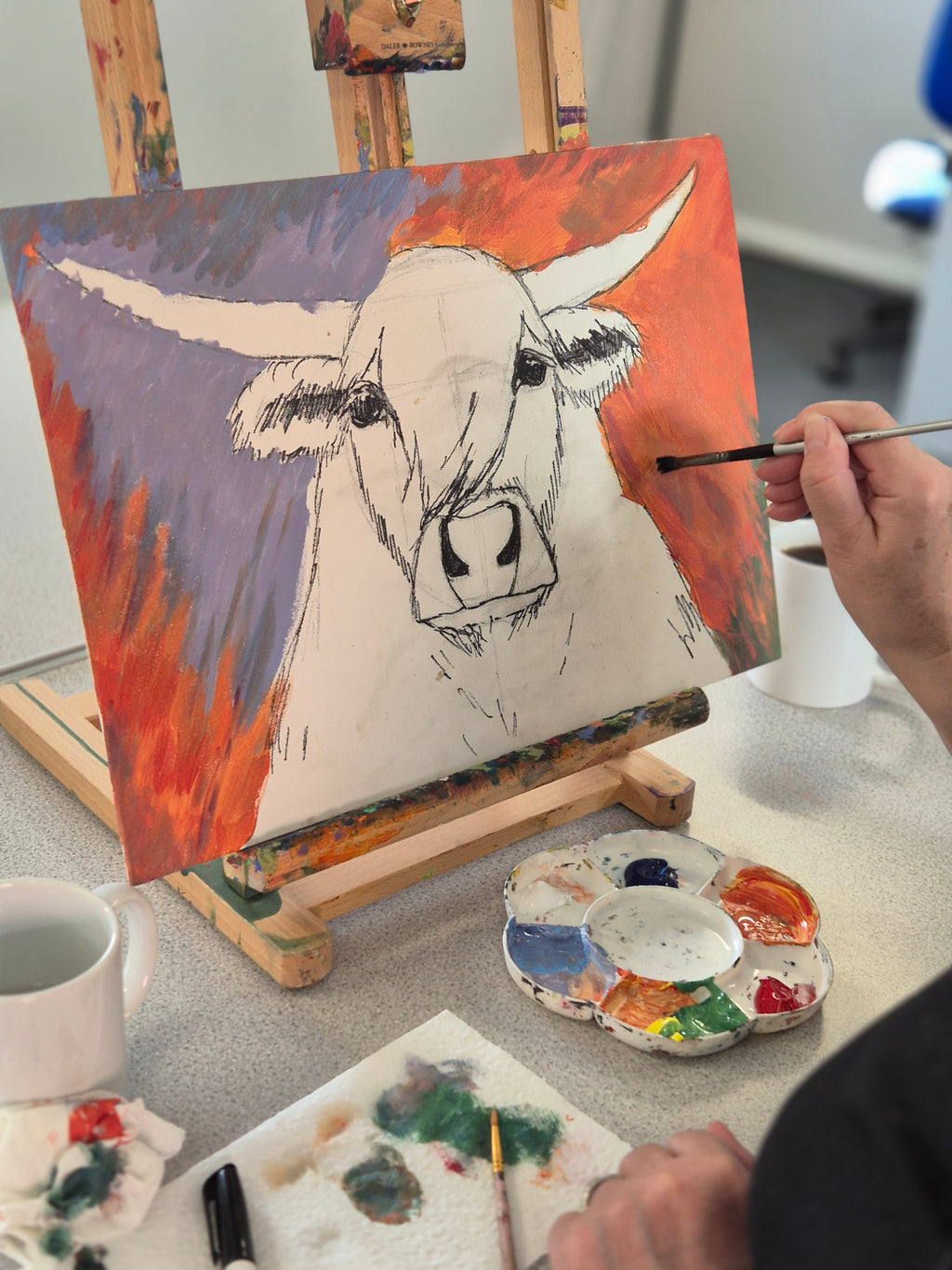 Buntes Highland-Rind! in der Ibstock School | Sonntag, 22. Februar 2026, 10 - 16 Uhr