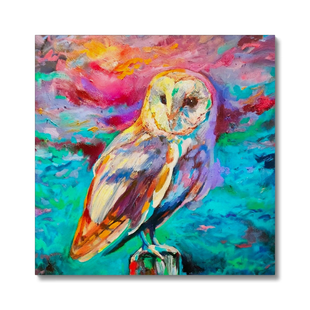 Sunset Barn Owl Canvas