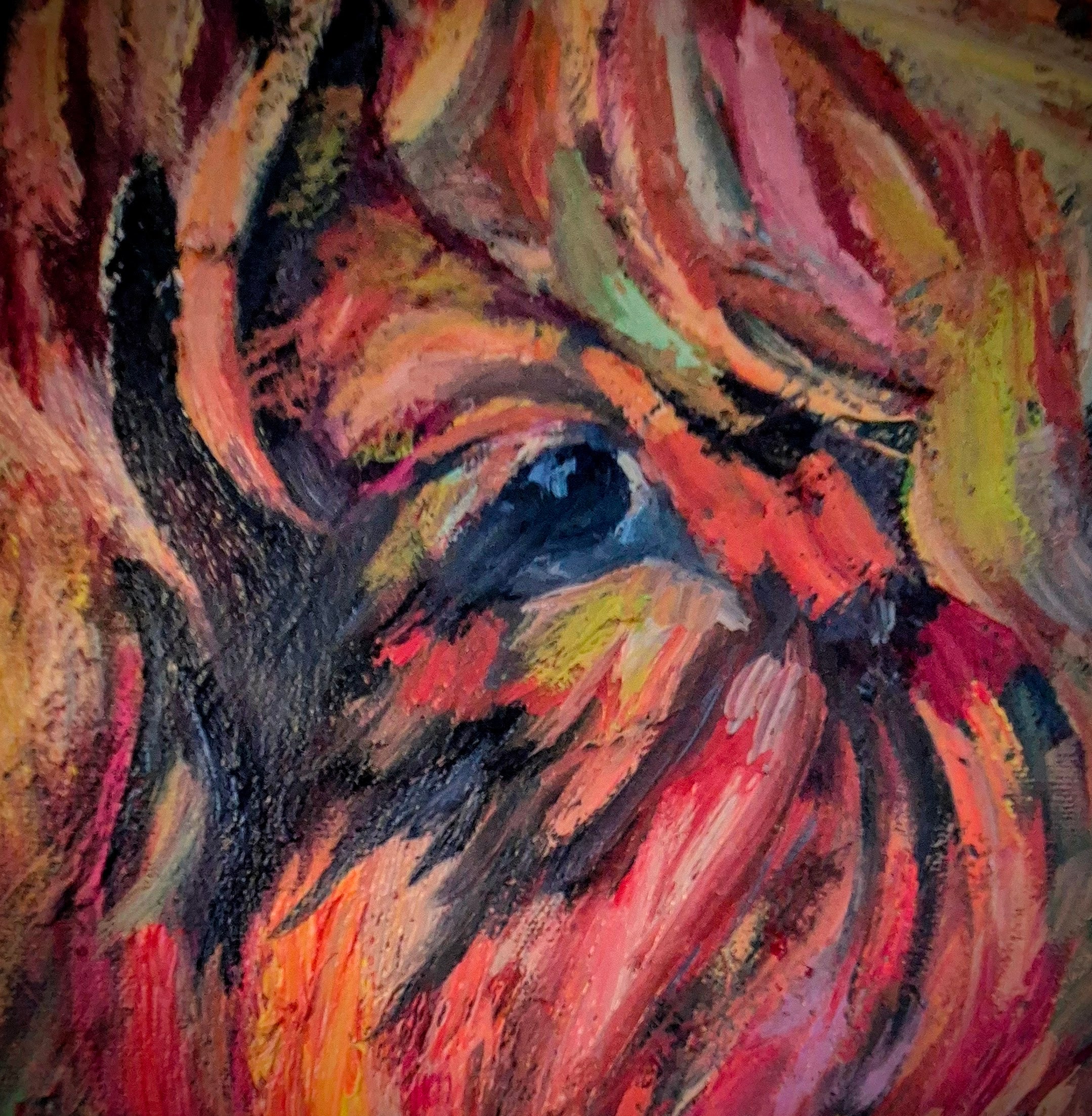 SUNSET AT BRAEMAR | Original Highland Cow Oil Painting | 24 x 24 " \ 60 x 60 cm