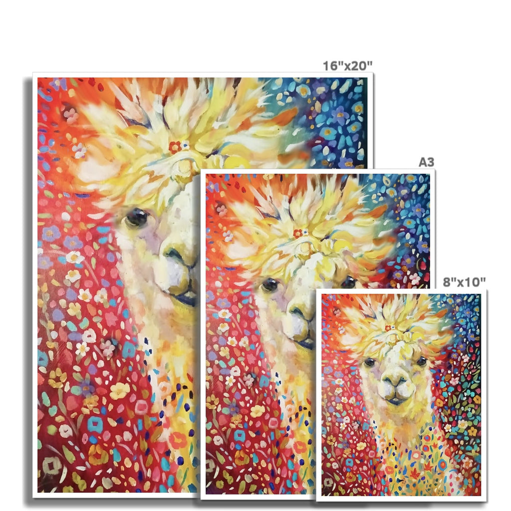 Love Alpaca Hahnemühle German Etching Print - - susan gardner - uk artist - colourful animal art