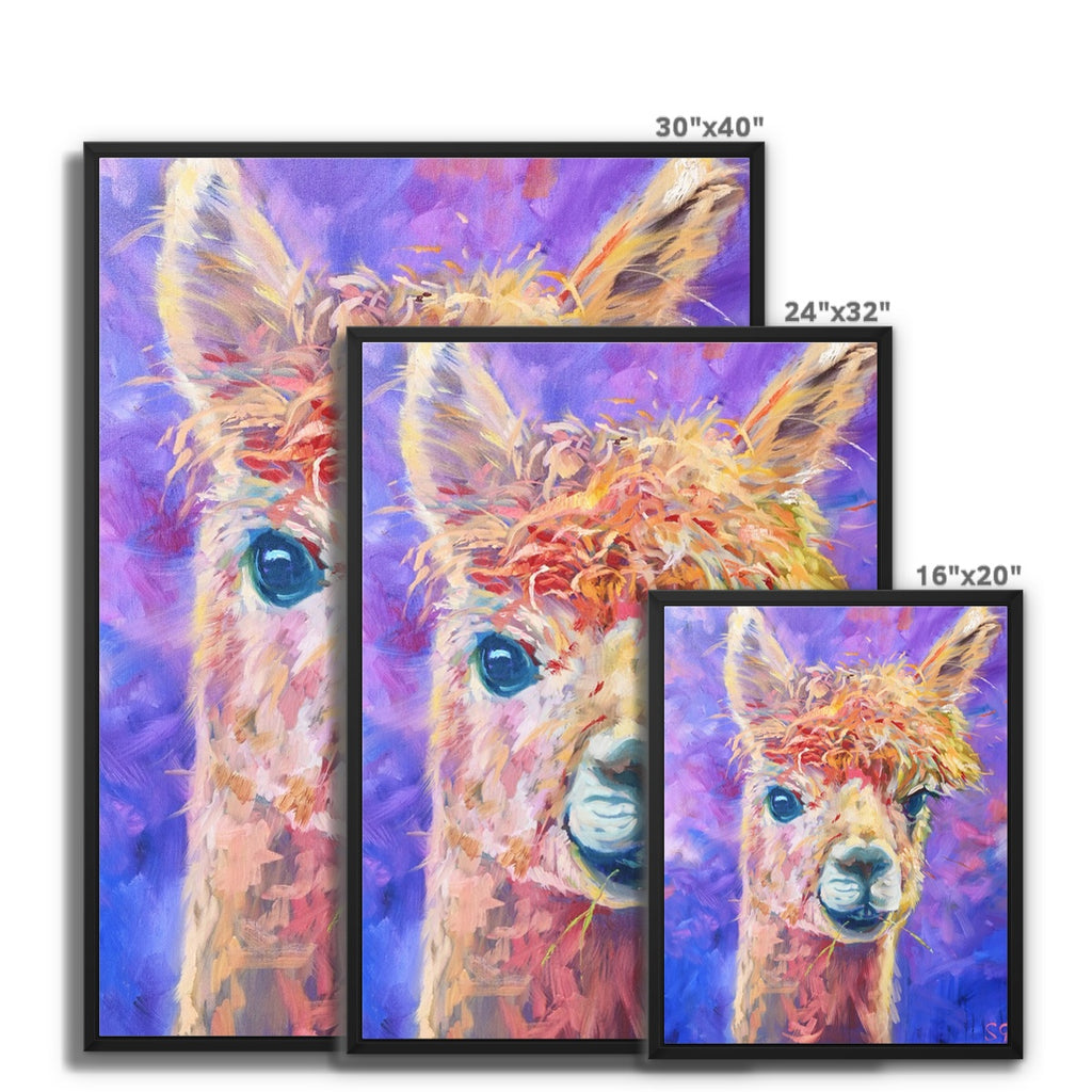 Chiquitita Framed Canvas - - susan gardner - uk artist - colourful animal art