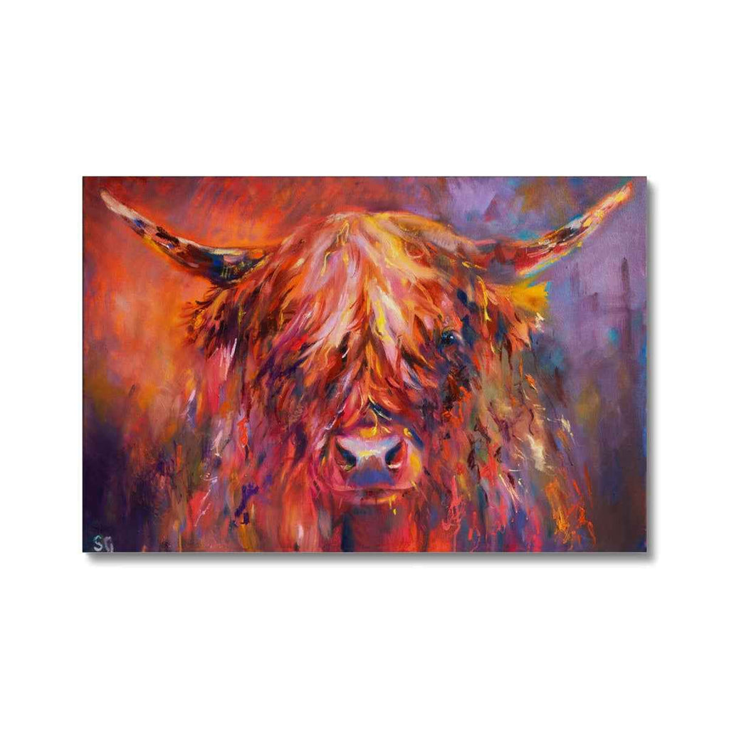 Islay - Highland Cow Canvas - - susan gardner - uk artist - colourful animal art