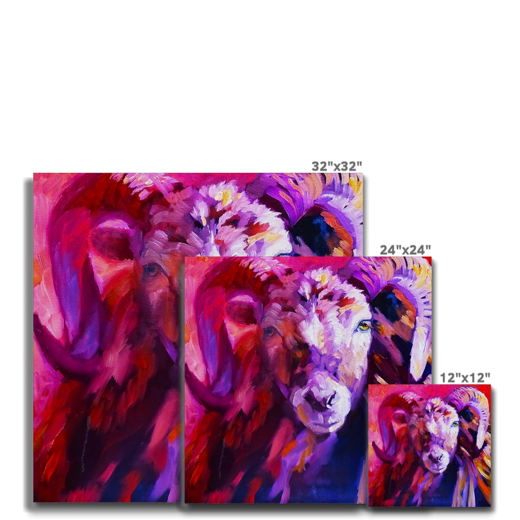 Red Ram Canvas - Animal Art by Susan Gardner - Contemporary Expressionist - Colourful Fine Art