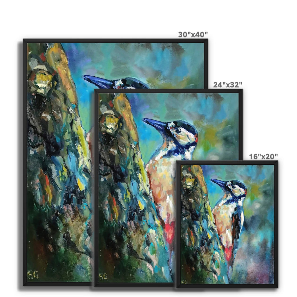 Woodpecker Framed Canvas - - susan gardner - uk artist - colourful animal art