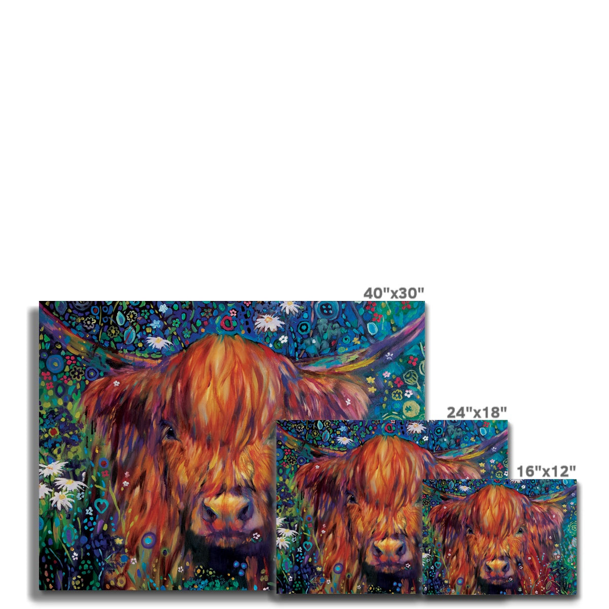 Braemar Daisies Canvas - - susan gardner - uk artist - colourful animal art