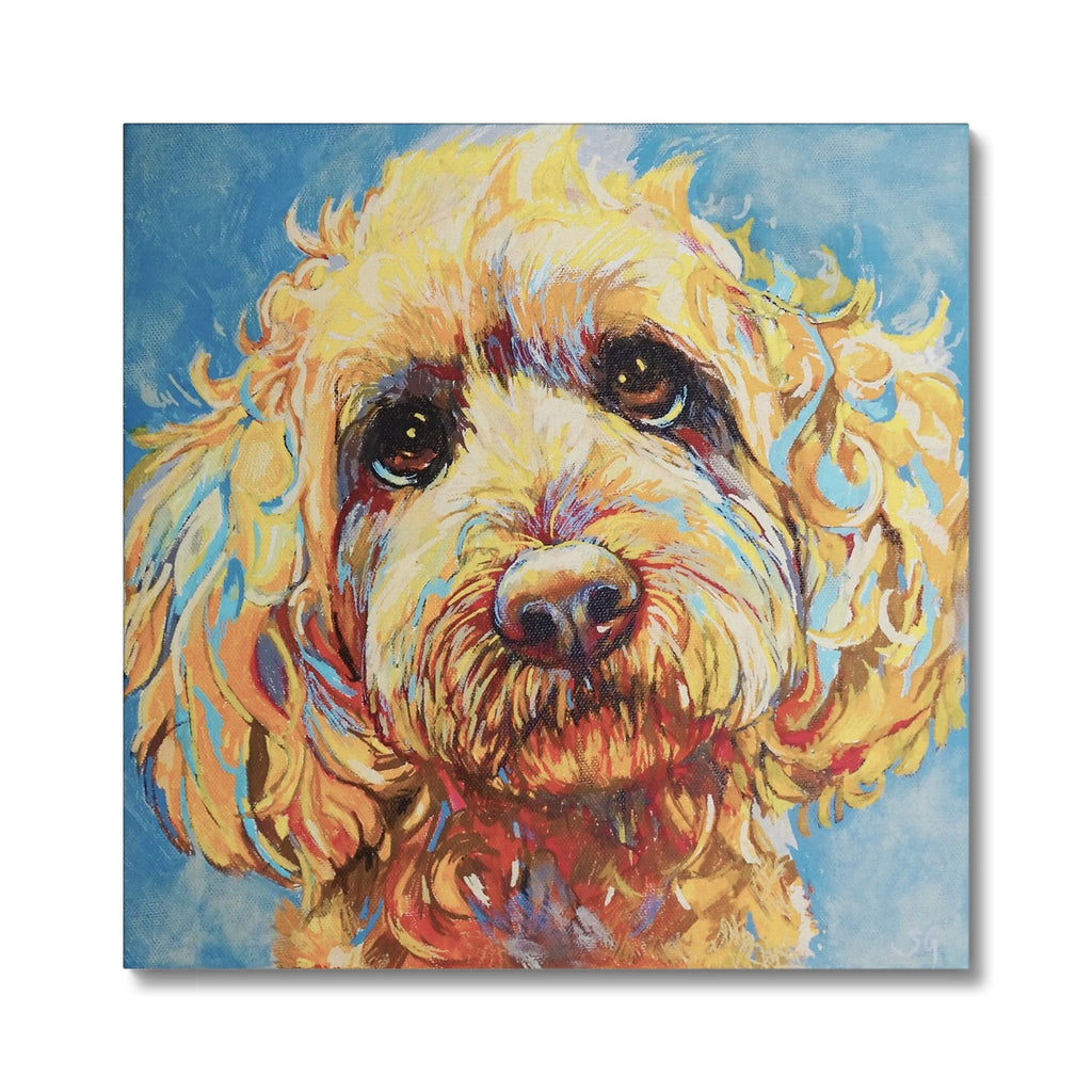 Cockerpoo Canvas - - susan gardner - uk artist - colourful animal art