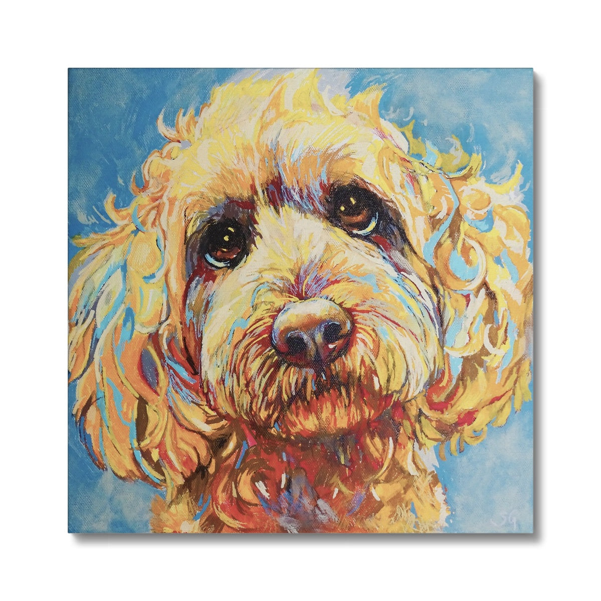 Cockerpoo Canvas - - susan gardner - uk artist - colourful animal art