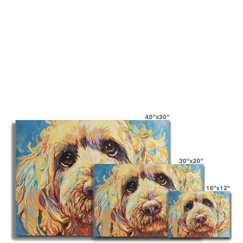 Cockerpoo Canvas - - susan gardner - uk artist - colourful animal art