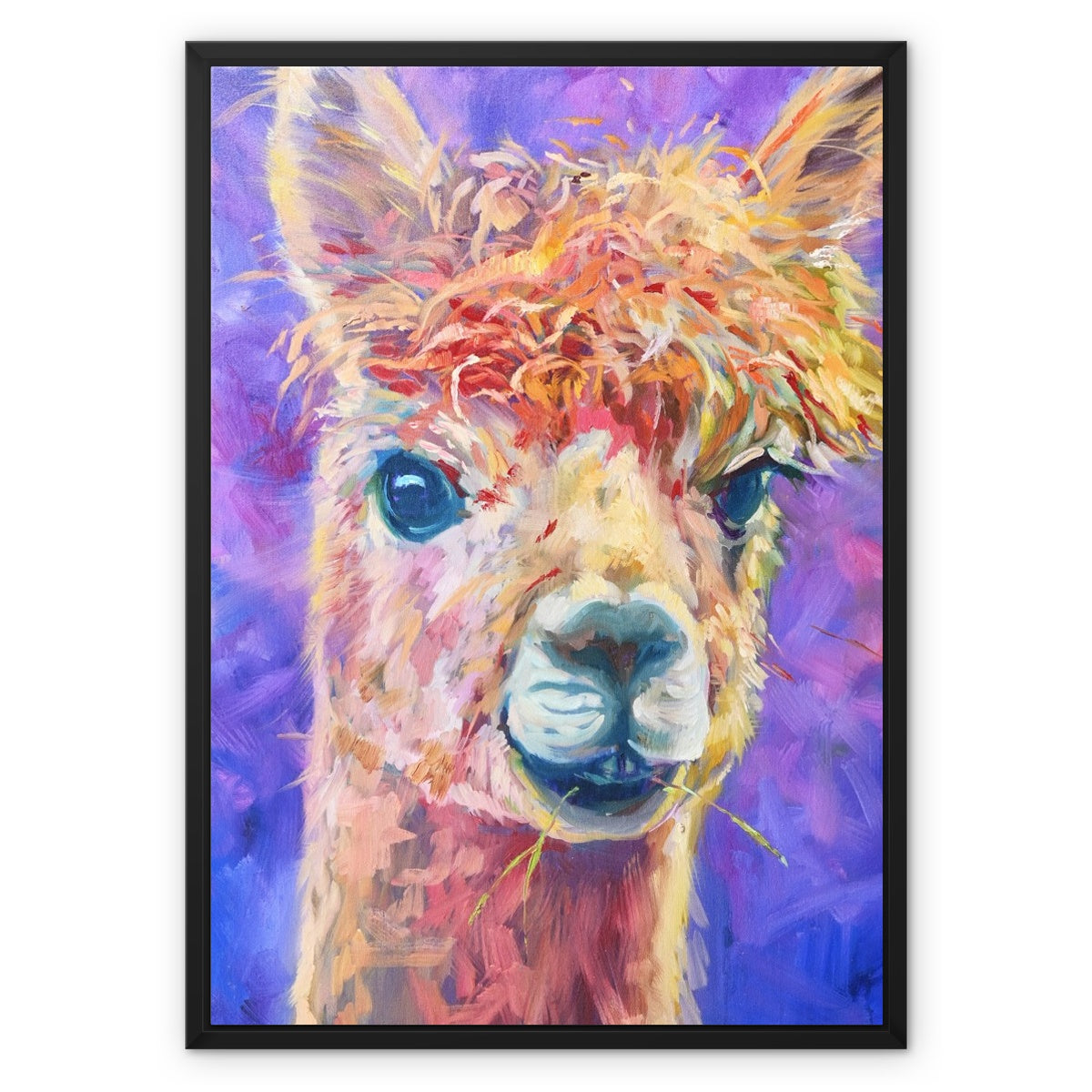 Chiquitita Framed Canvas - - susan gardner - uk artist - colourful animal art