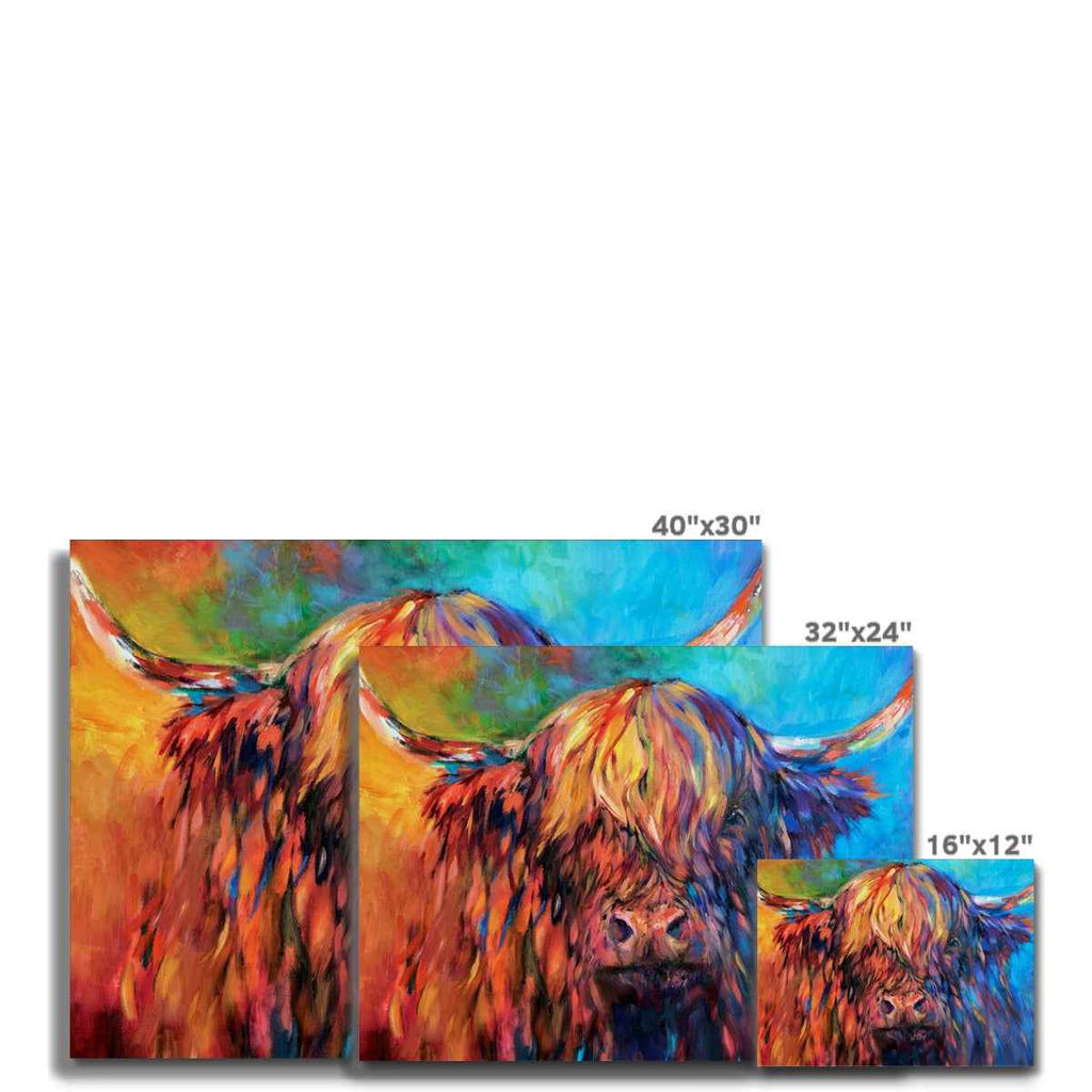Glendevon - Highland Cow Canvas - - susan gardner - uk artist - colourful animal art