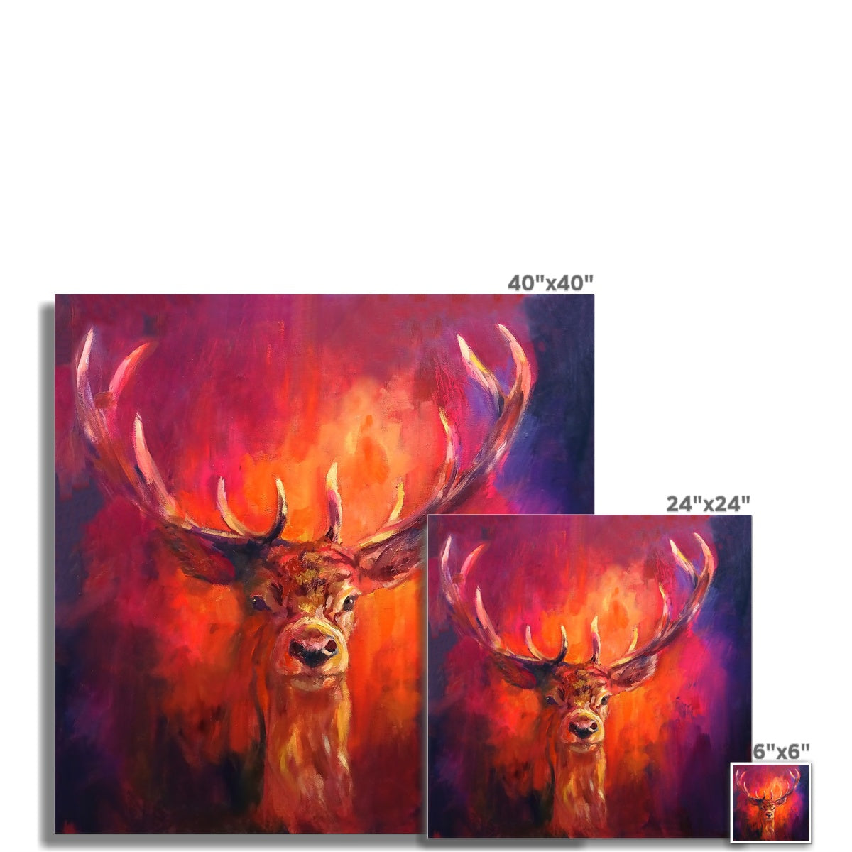 Resilient Spirit  Print - - susan gardner - uk artist - colourful animal art
