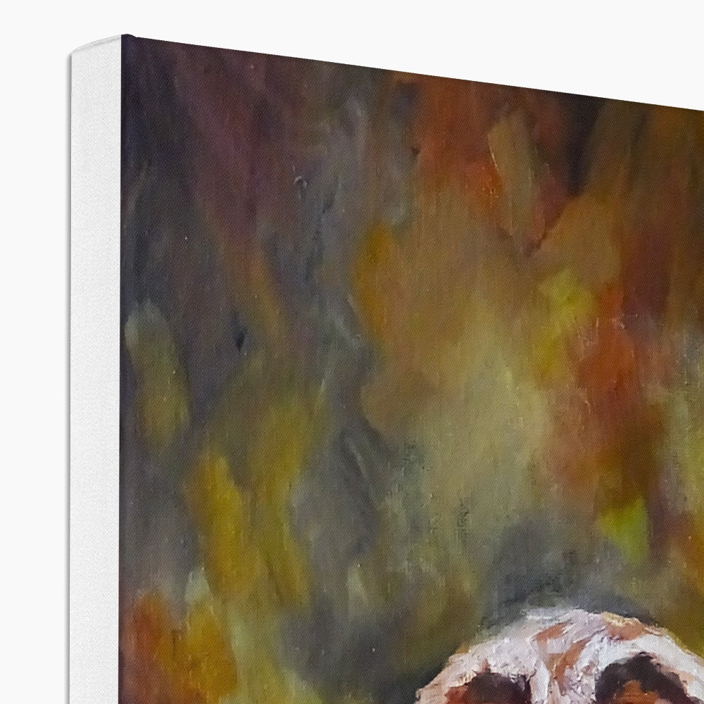Boobook Owl Canvas