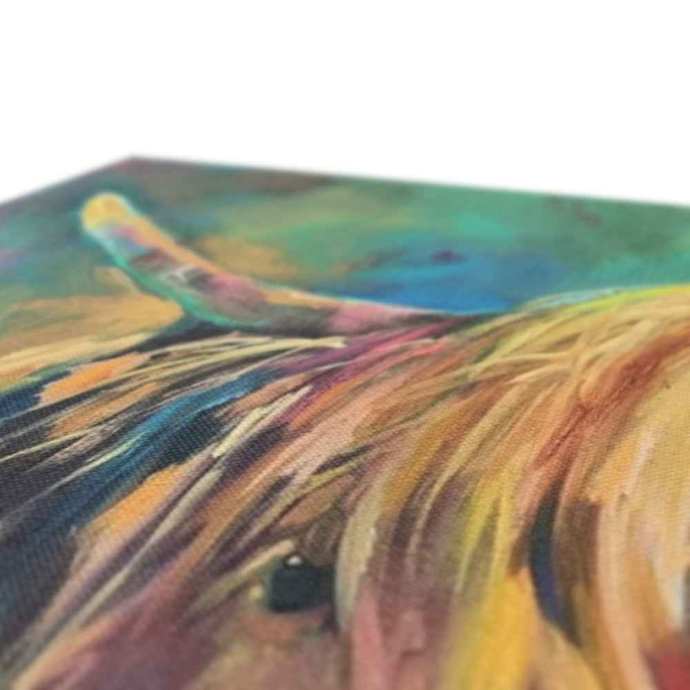 Applecross - Highland Cow Canvas - - susan gardner - uk artist - colourful animal art