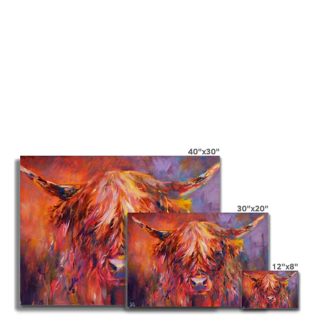 Islay - Highland Cow Canvas - - susan gardner - uk artist - colourful animal art