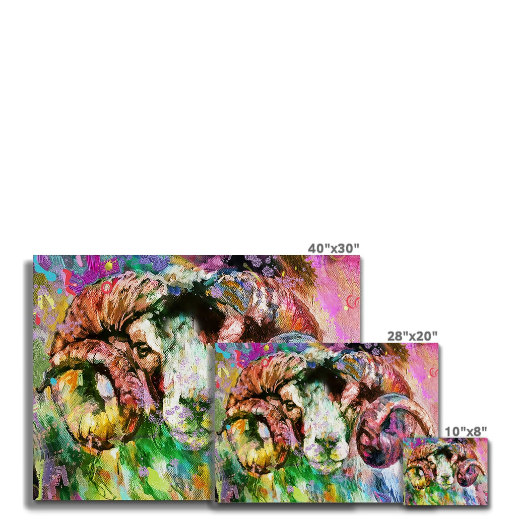 Amos Canvas - Animal Art by Susan Gardner - Contemporary Expressionist - Colourful Fine Art