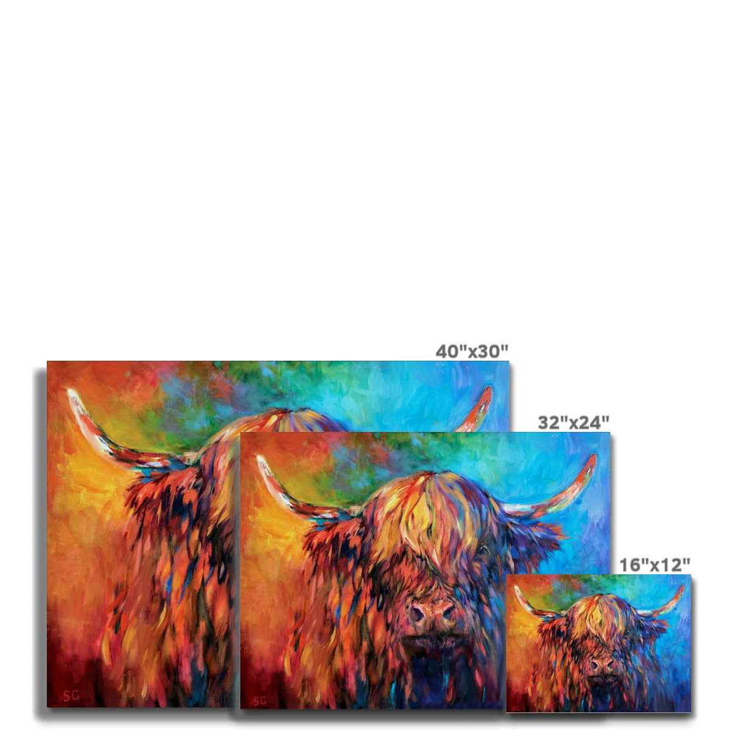 Glendevon - Highland Cow Canvas - - susan gardner - uk artist - colourful animal art
