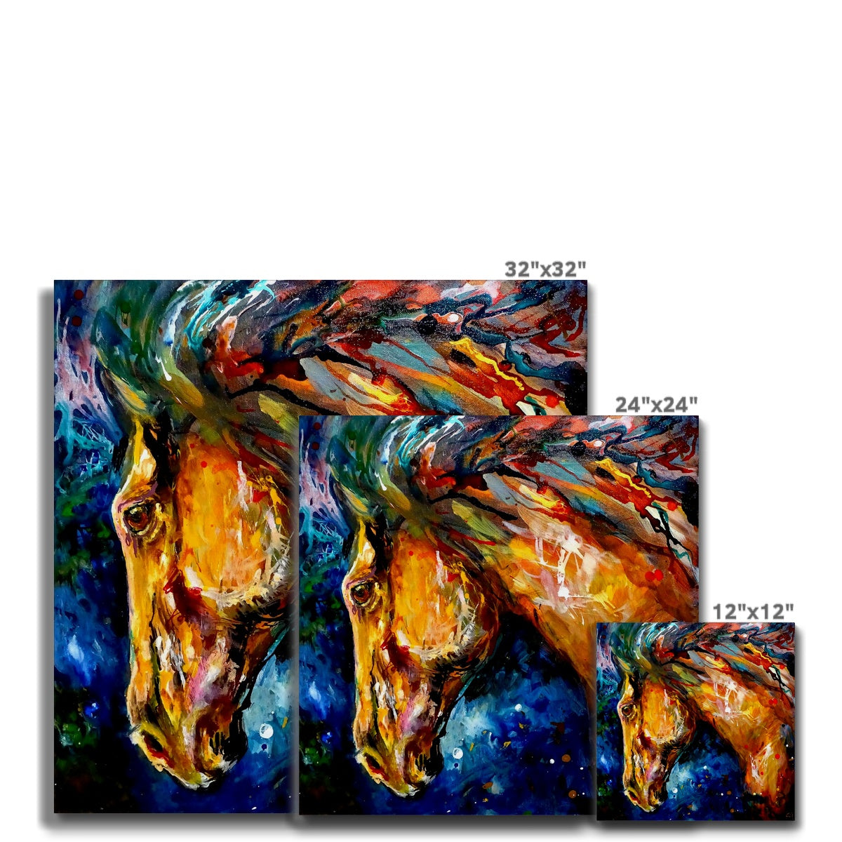 Mazarron Canvas - Animal Art by Susan Gardner - Contemporary Expressionist - Colourful Fine Art