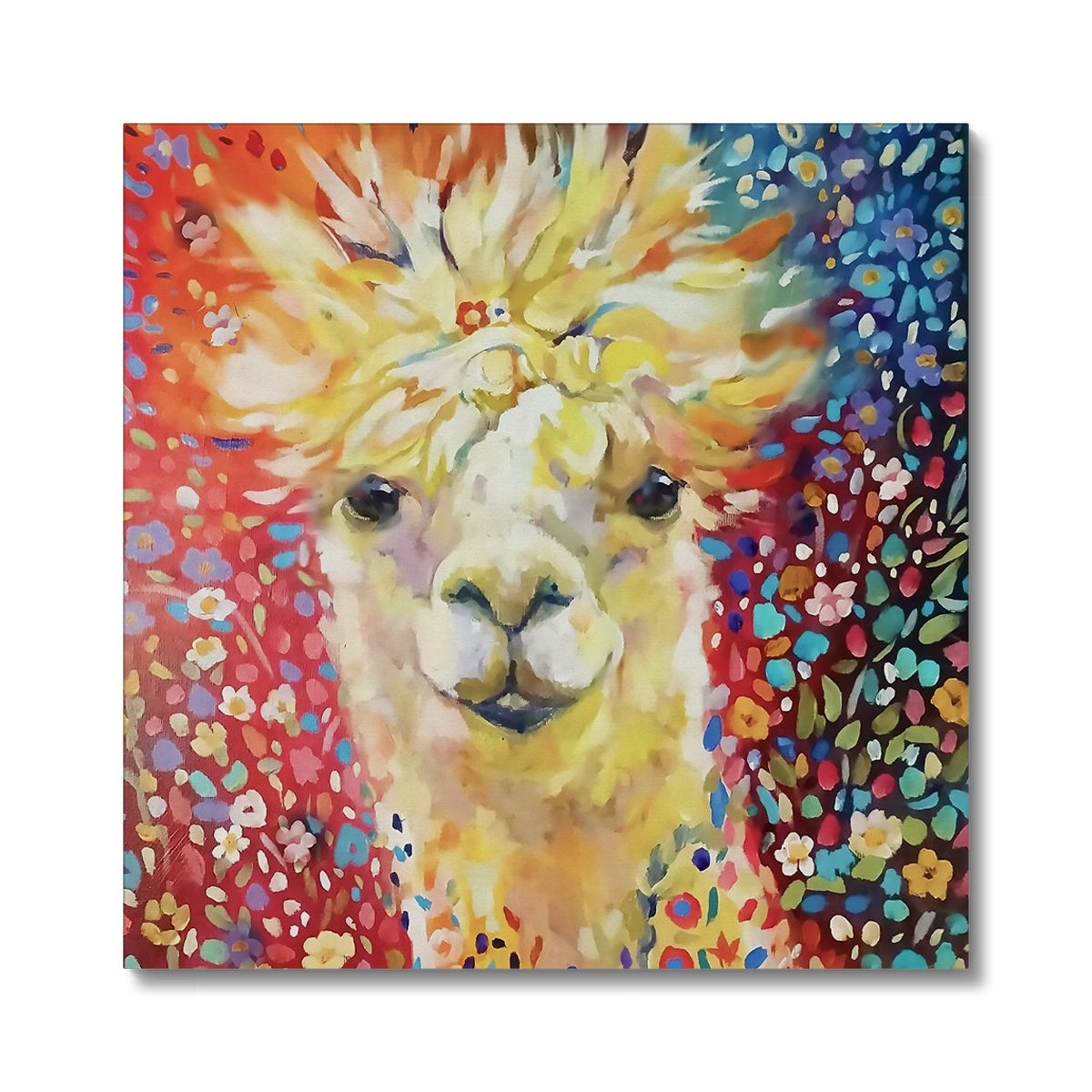 Love Alpaca Canvas - - susan gardner - uk artist - colourful animal art