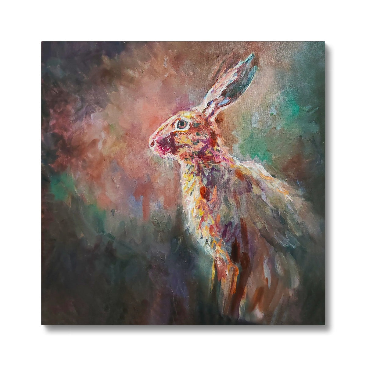 Ready For Action - Hare Canvas - - susan gardner - uk artist - colourful animal art
