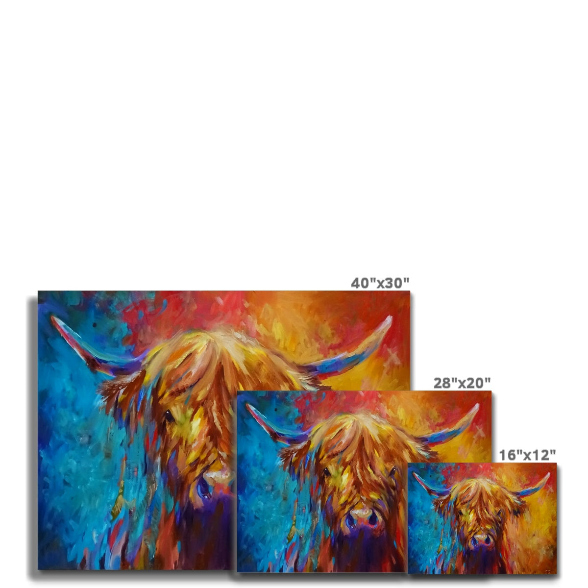 Ross Canvas - - susan gardner - uk artist - colourful animal art