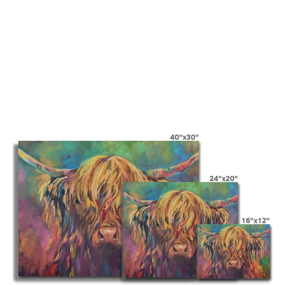 Applecross - Highland Cow Canvas - - susan gardner - uk artist - colourful animal art