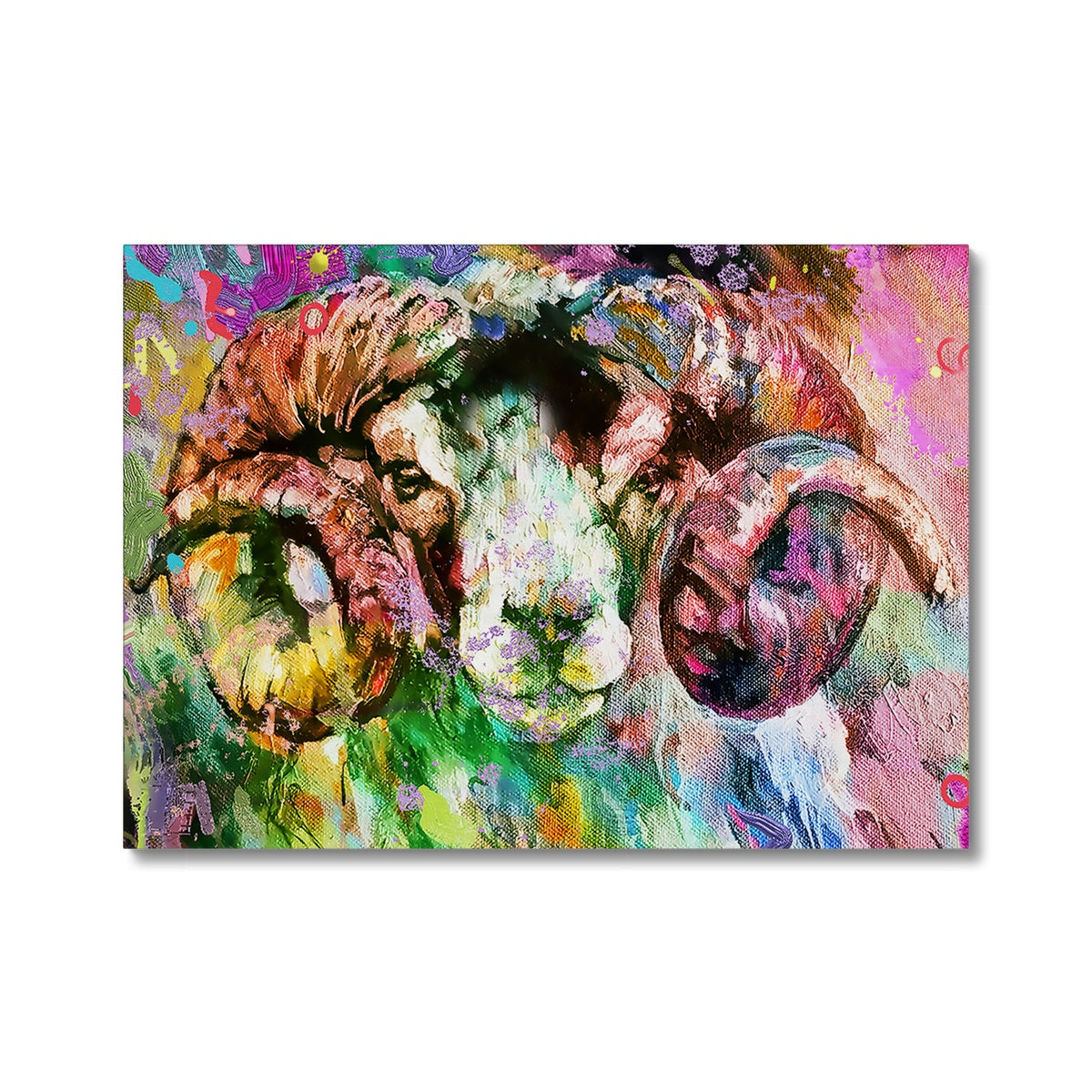 Amos Canvas - Animal Art by Susan Gardner - Contemporary Expressionist - Colourful Fine Art
