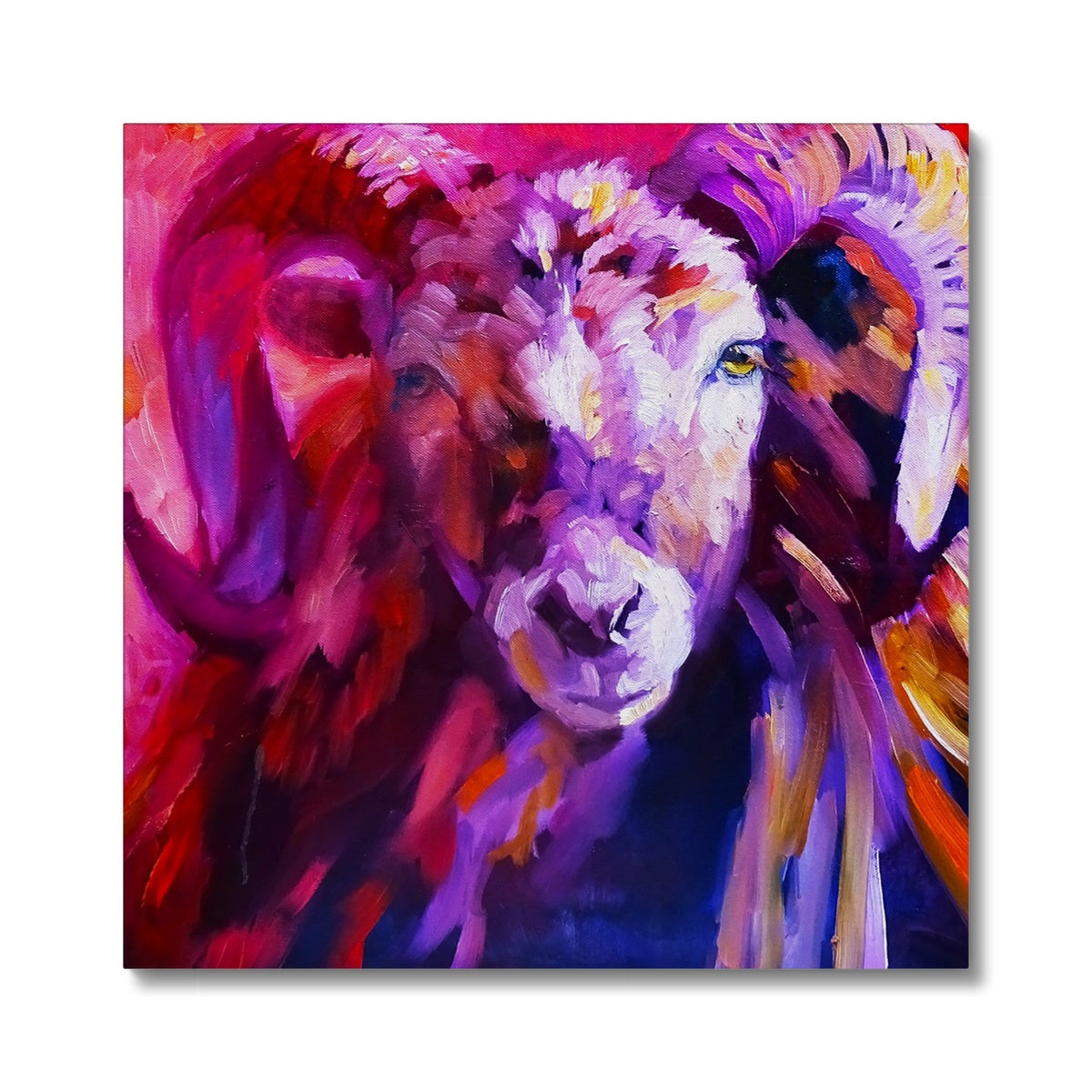 Red Ram Canvas - Animal Art by Susan Gardner - Contemporary Expressionist - Colourful Fine Art