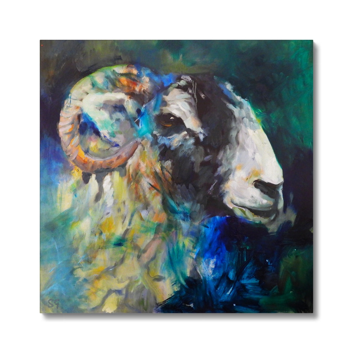swaledale sheep painting sue gardner
