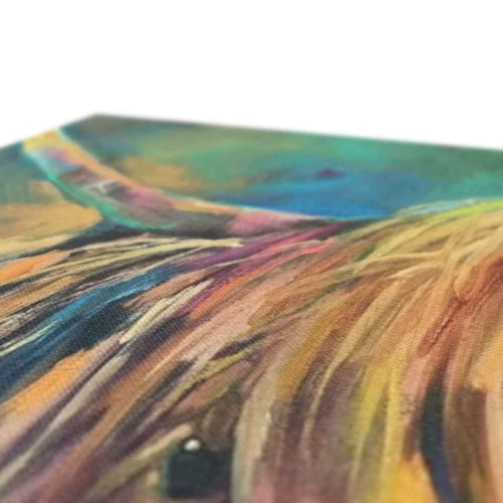 Applecross - Highland Cow Canvas - - susan gardner - uk artist - colourful animal art