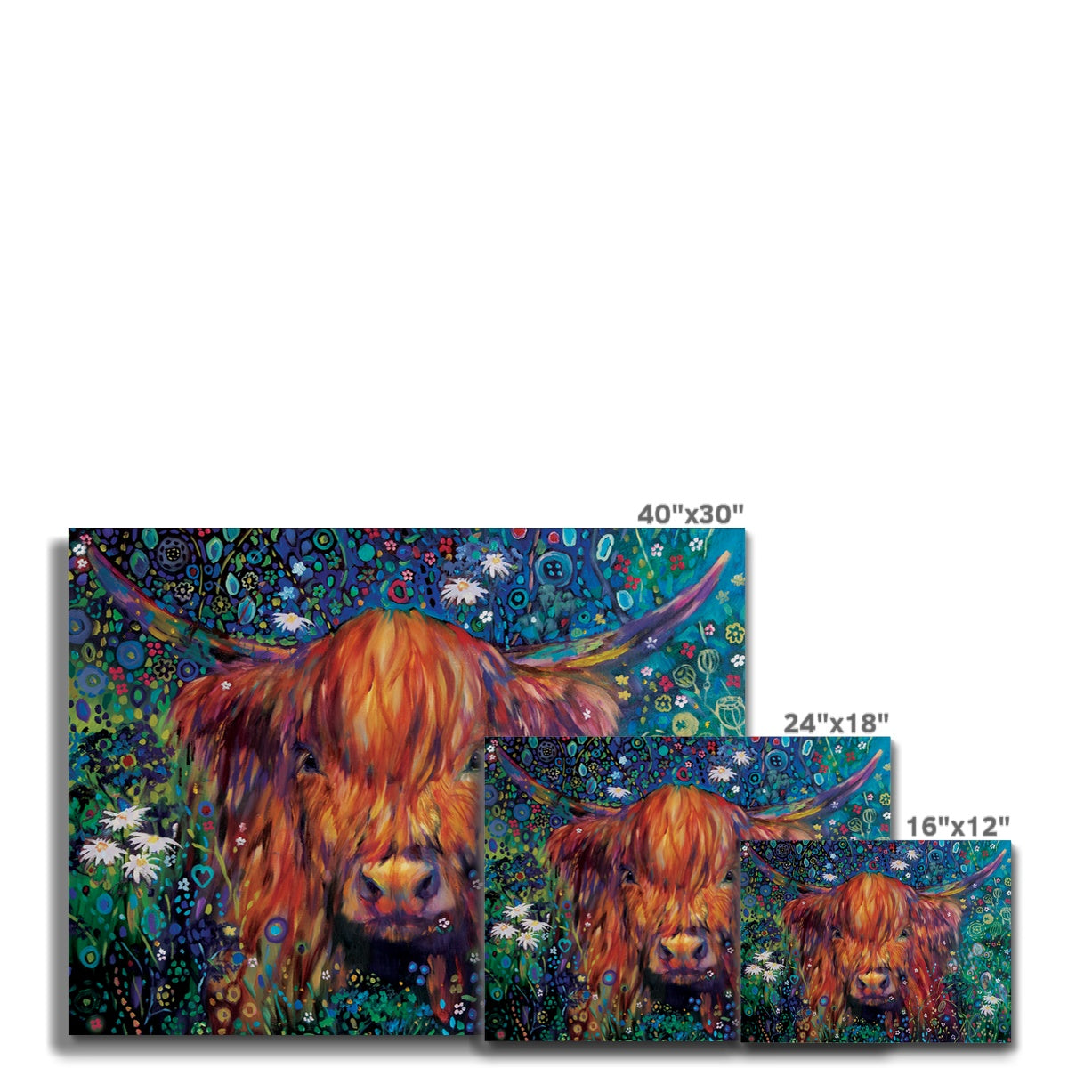 Braemar Daisies Canvas - - susan gardner - uk artist - colourful animal art