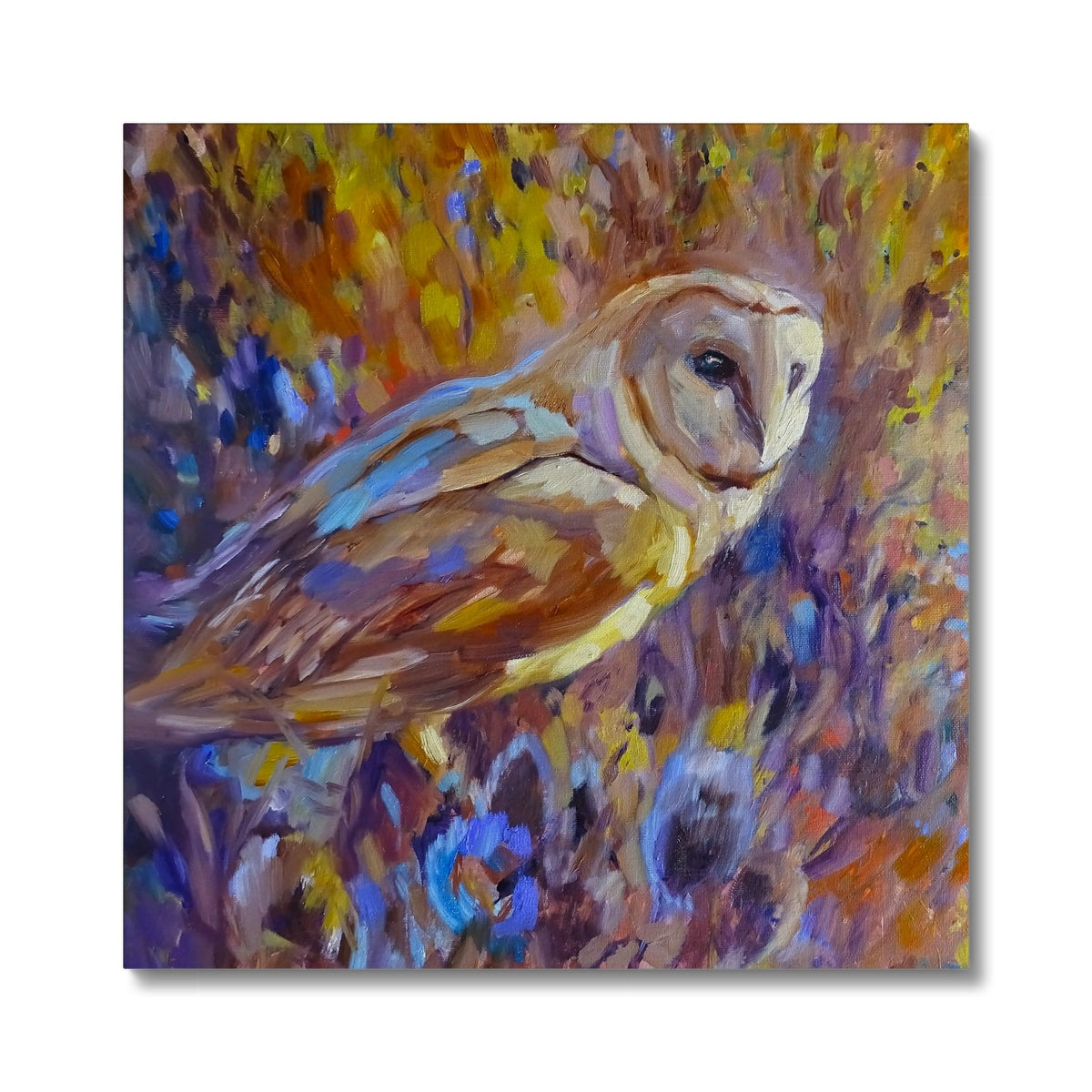 Barn Owl and Teazels Canvas - - susan gardner - uk artist - colourful animal art