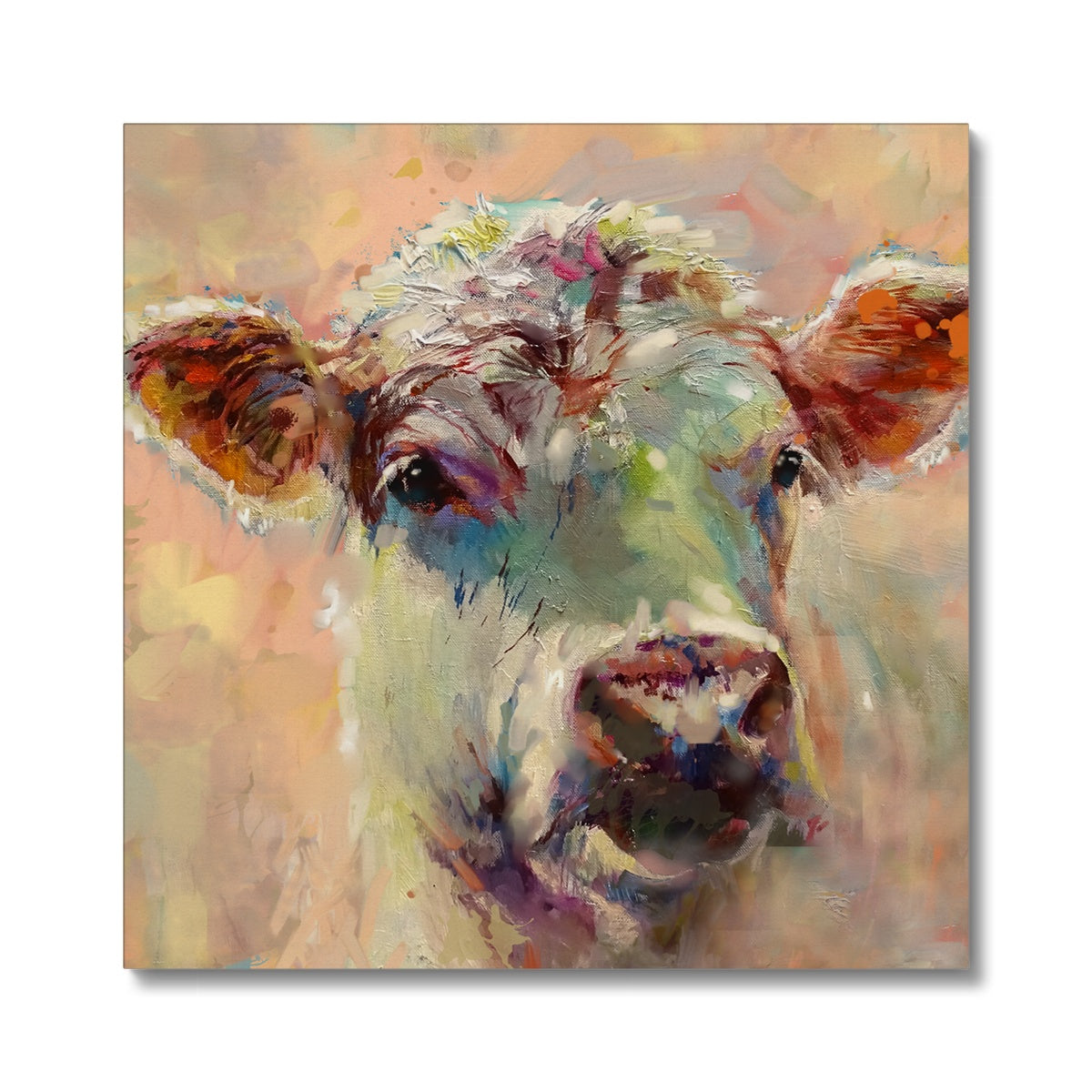 cream cow picture by sue gardner
