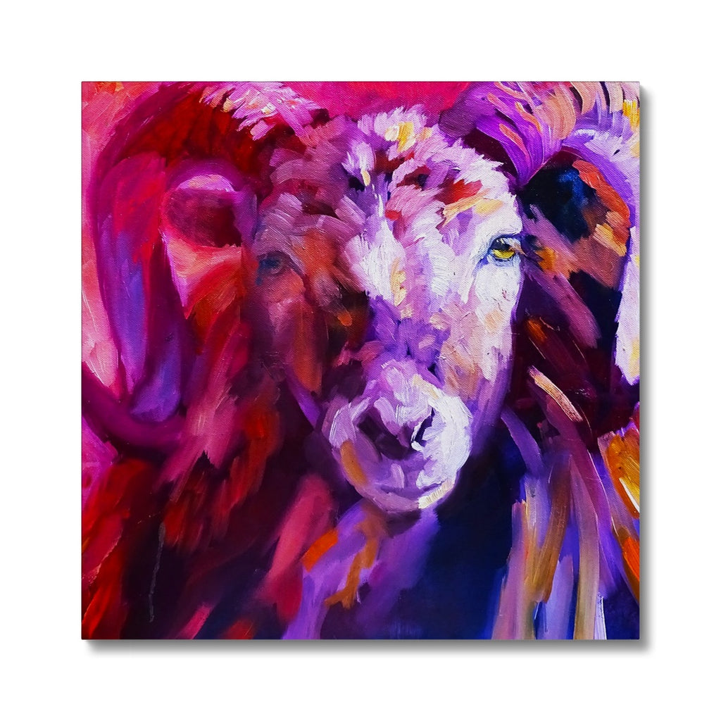 Red Ram Canvas - Animal Art by Susan Gardner - Contemporary Expressionist - Colourful Fine Art