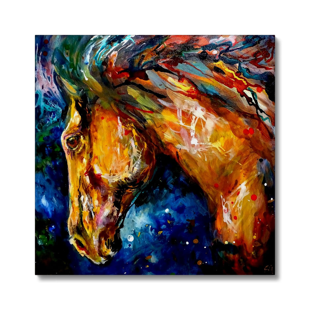 Mazarron Canvas - Animal Art by Susan Gardner - Contemporary Expressionist - Colourful Fine Art